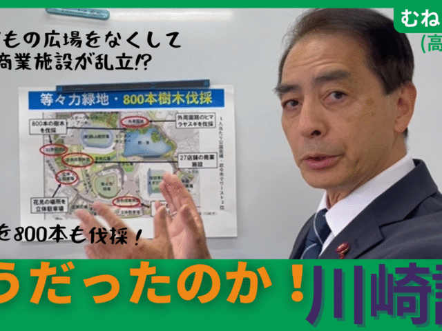 そうだったのか川崎話その2 ~等々力緑地の再編整備~ 樹木を800本も伐採! 子どもの広場をなくして商業施設が乱立⁉ etc…
