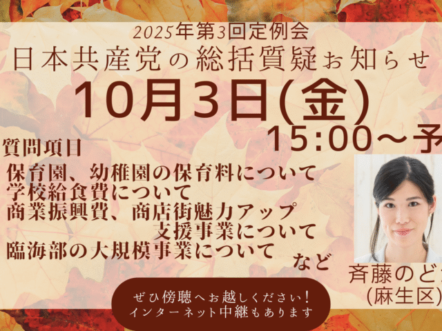 2025年第三回、川崎市議会定例会での総括質疑